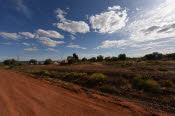 2022 Camaron Corner Trip  0515 small