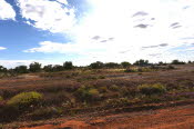 2022 Camaron Corner Trip  0516 small