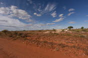 2022 Camaron Corner Trip  0517 small