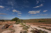 2022 Camaron Corner Trip  0519 small