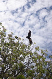 2022 Camaron Corner Trip  0545 small