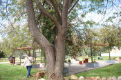 2022 Camaron Corner Trip  0547 small