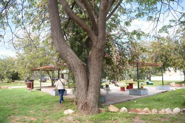 2022 Camaron Corner Trip  0548 small