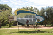 2022 Camaron Corner Trip  0565 small