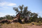 2022 Camaron Corner Trip  0596 small