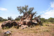 2022 Camaron Corner Trip  0597 small