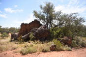 2022 Camaron Corner Trip  0598 small