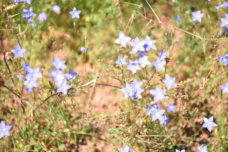 2022 Camaron Corner Trip  0599 small