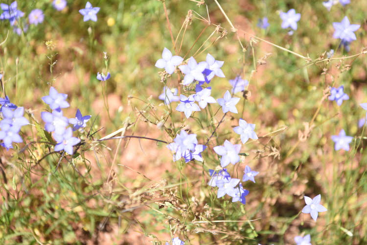 2022 Camaron Corner Trip  0600 small