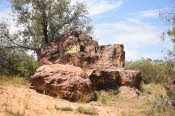2022 Camaron Corner Trip  0603 small