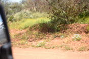 2022 Camaron Corner Trip  0605 small