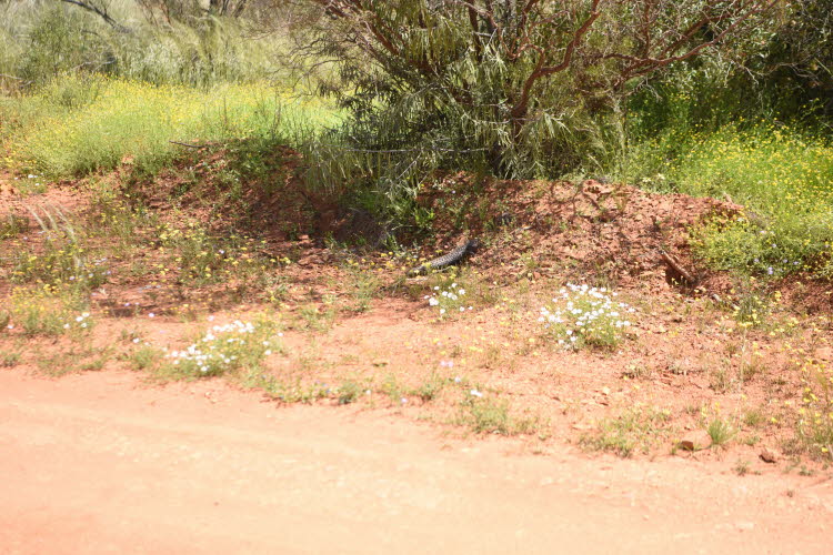 2022 Camaron Corner Trip  0606 small