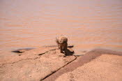 2022 Camaron Corner Trip  0610 small