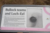Bullock teams and Loch-Eel