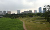 CHN_0012smll