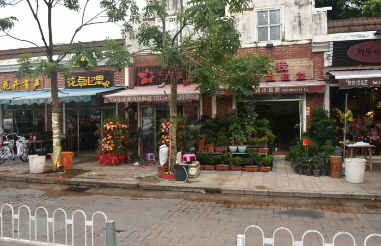 CHN_0019smll