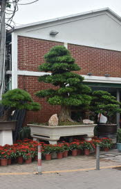 CHN_0021smll