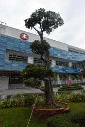 CHN_0086SML