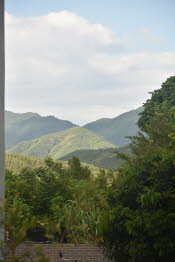 CHN_0237SML