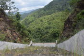 CHN_0381SML
