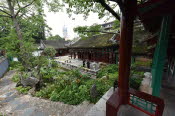 CHN_0452SML