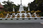 CHN_0711SML