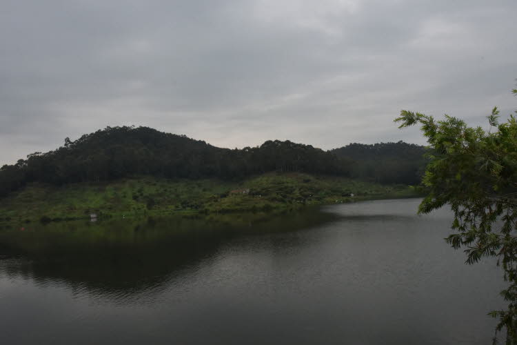 CHN_0796SML