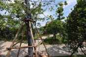 CHN_0867SML - Copy
