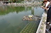 CHN_0880SML - Copy