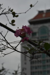 CHN_0897SML