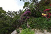 CHN_0940SML - Copy