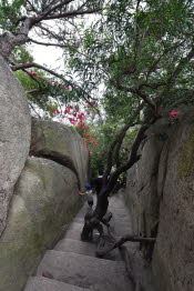 CHN_0941SML - Copy