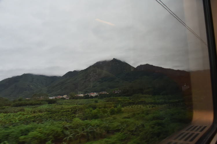 CHN_1006SML