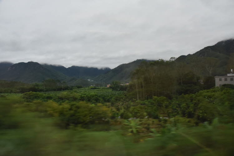 CHN_1007SML