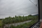 CHN_1022SML