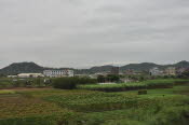 CHN_1048SML