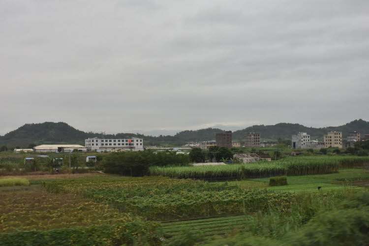 CHN_1048SML