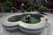 CHN_1074SML