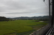 CHN_1096SML