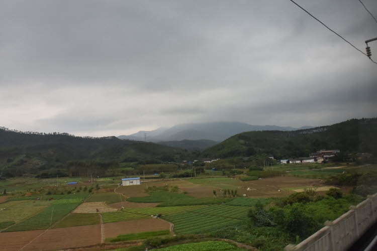 CHN_1106SML