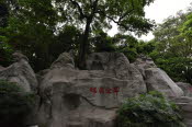 CHN_1278SML