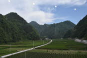 CHN_1443SML