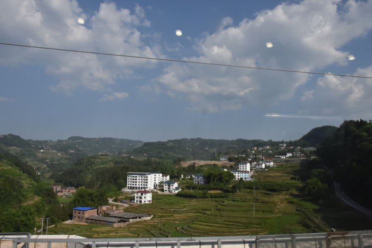 CHN_1481SML