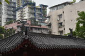 CHN_1531SML