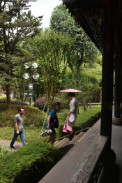 CHN_1558SML