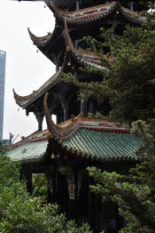 CHN_1559SML