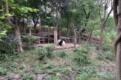 CHN_1709