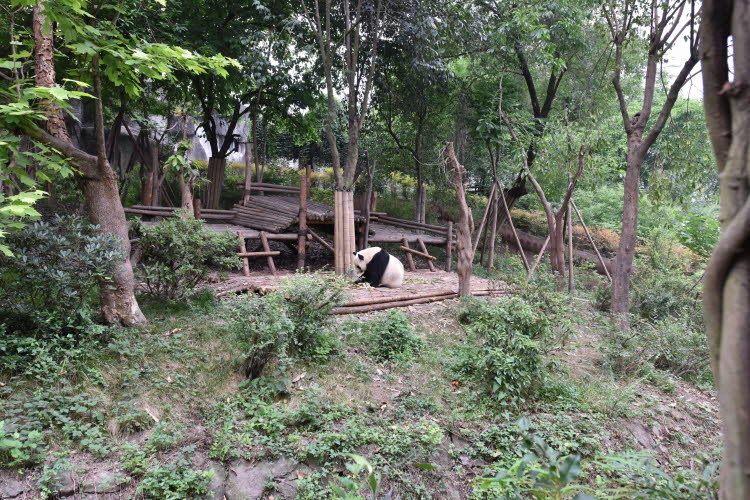 CHN_1709