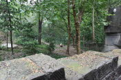 CHN_1723