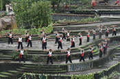 CHN_1775